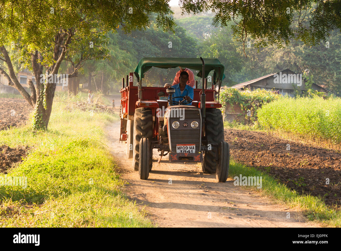 Indian agricoltore tracktor guida nel campo. Foto Stock