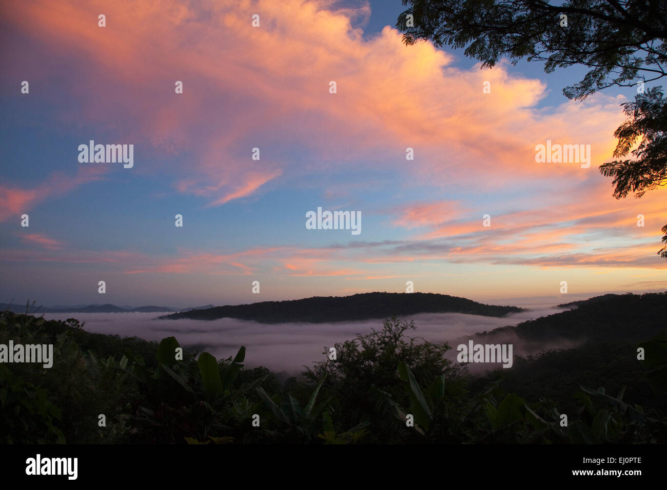 Sunrise, Warrell Creek, Macksville, NSW, Nuovo Galles del Sud, Australia, nebbia bassa misty, nebbia, foggy, valley, incantevole bellezza molto bello Foto Stock
