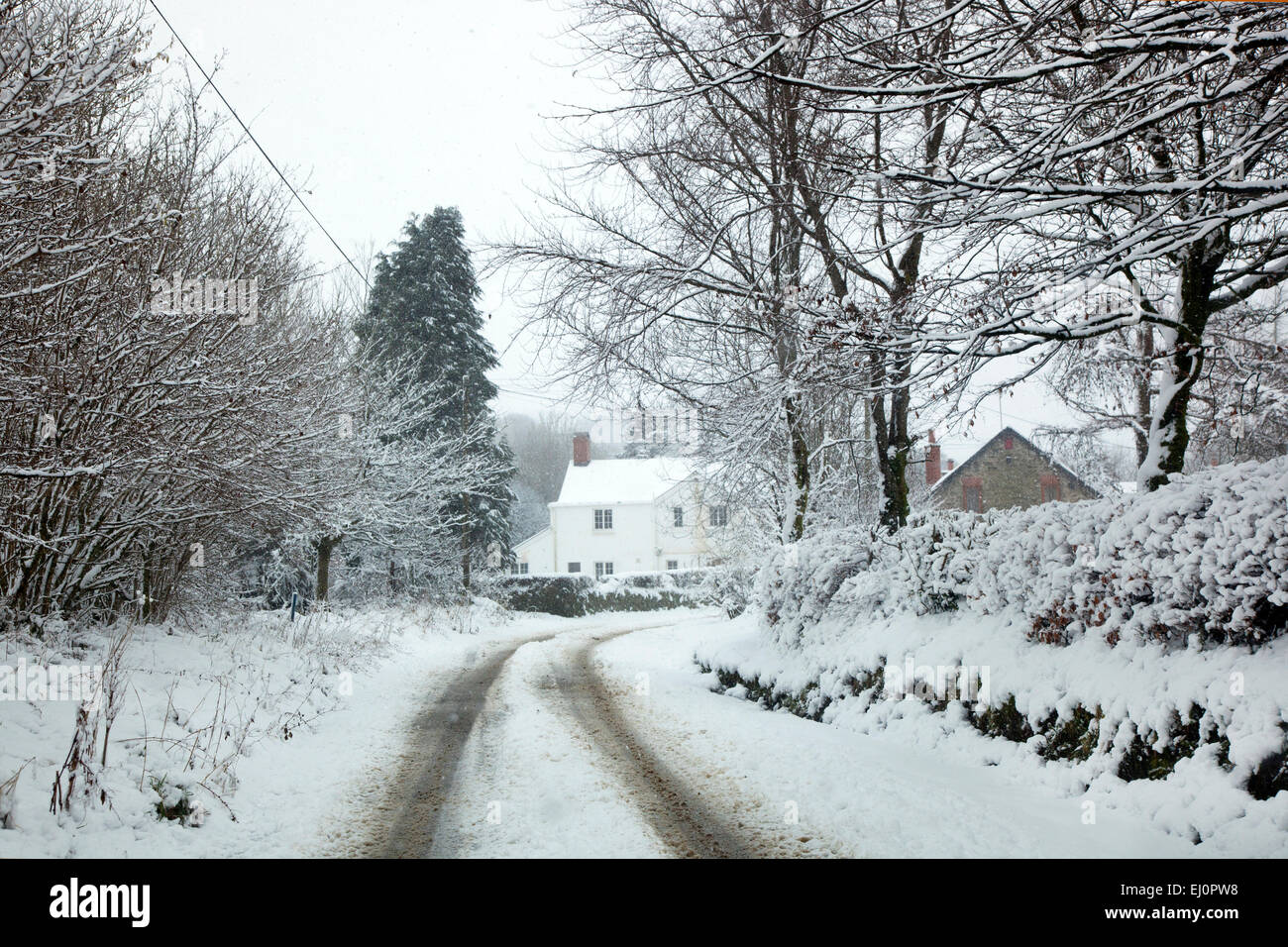 Challacombe, Exmoor, North Devon, sud-ovest, Inghilterra, Regno Unito, Europa, britannico, campagna inglese, paese, brughiera, Moor Foto Stock