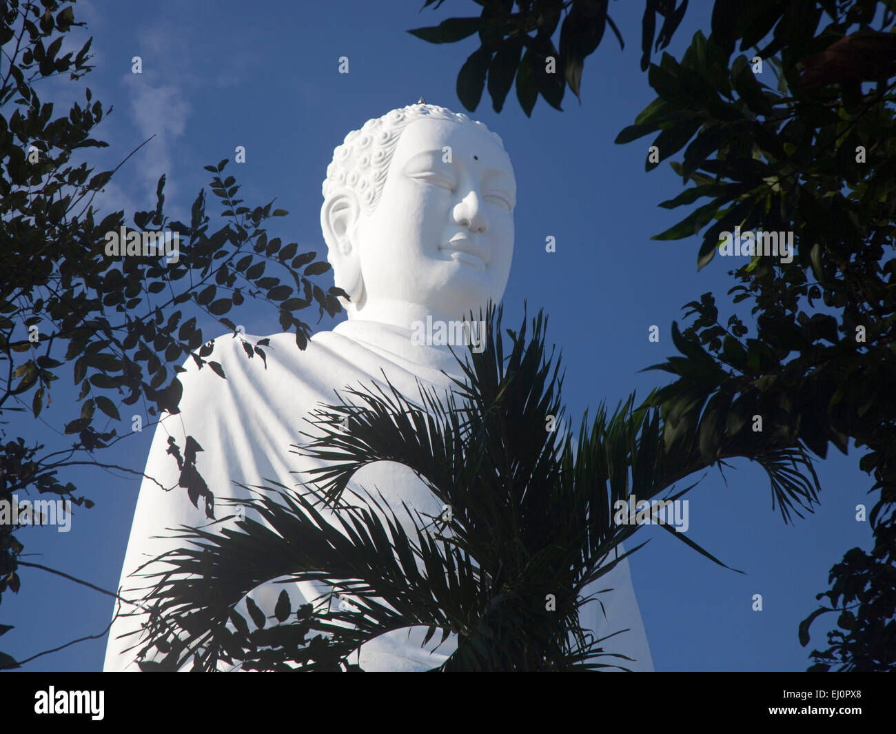 Bianco gigante Buddha, figlio lungo il tempio, Nha Trang, Khanh Hoa provincia, Vietnam, SE Asia, Sud Est Asiatico, Giant, bianco, Buddha, grande, Foto Stock