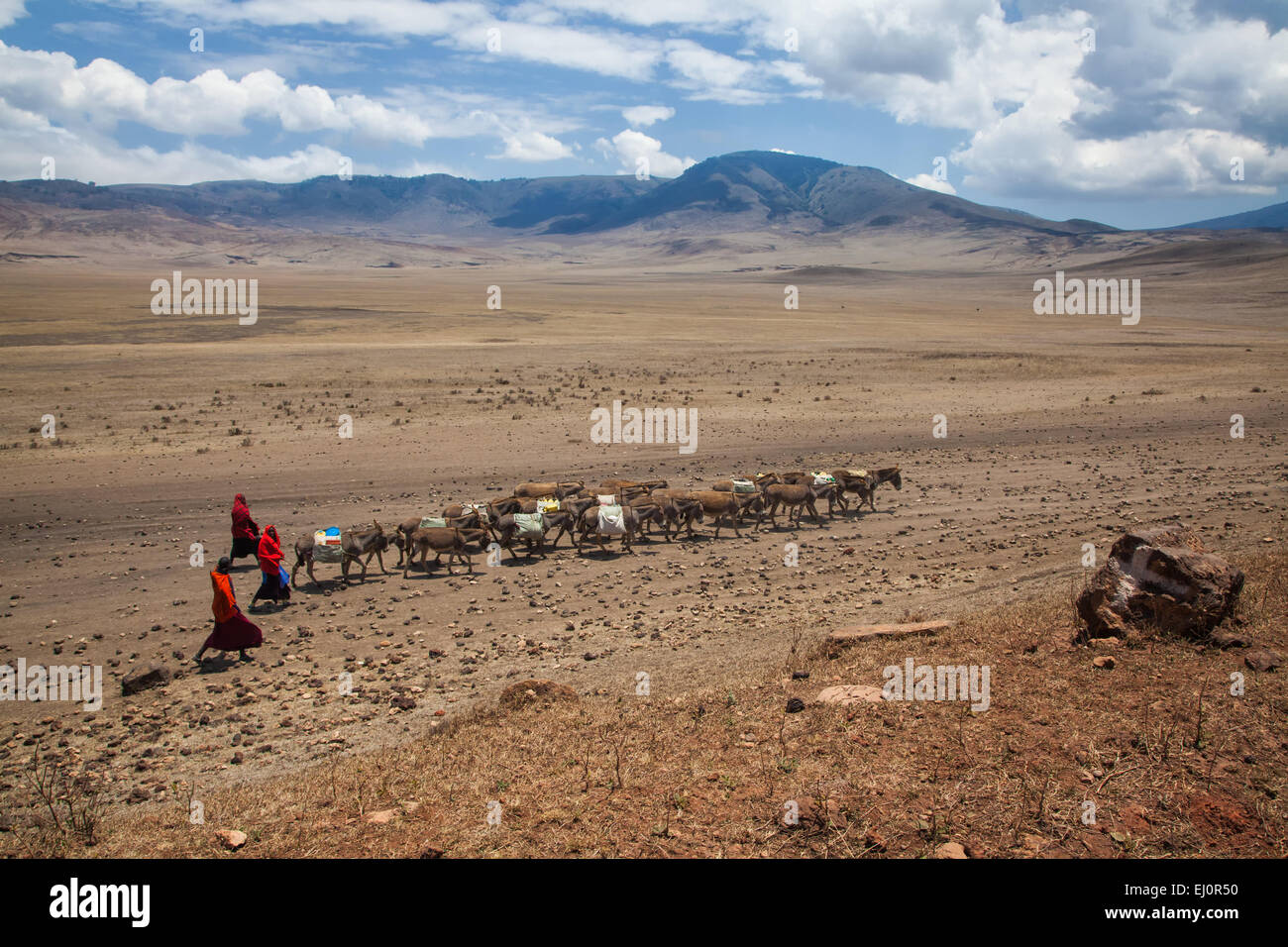 Africa, montagne, asini, animali domestici, paesaggio, paesaggio, Massai,, persone, viaggi, mammiferi, Tanzania Africa orientale Foto Stock