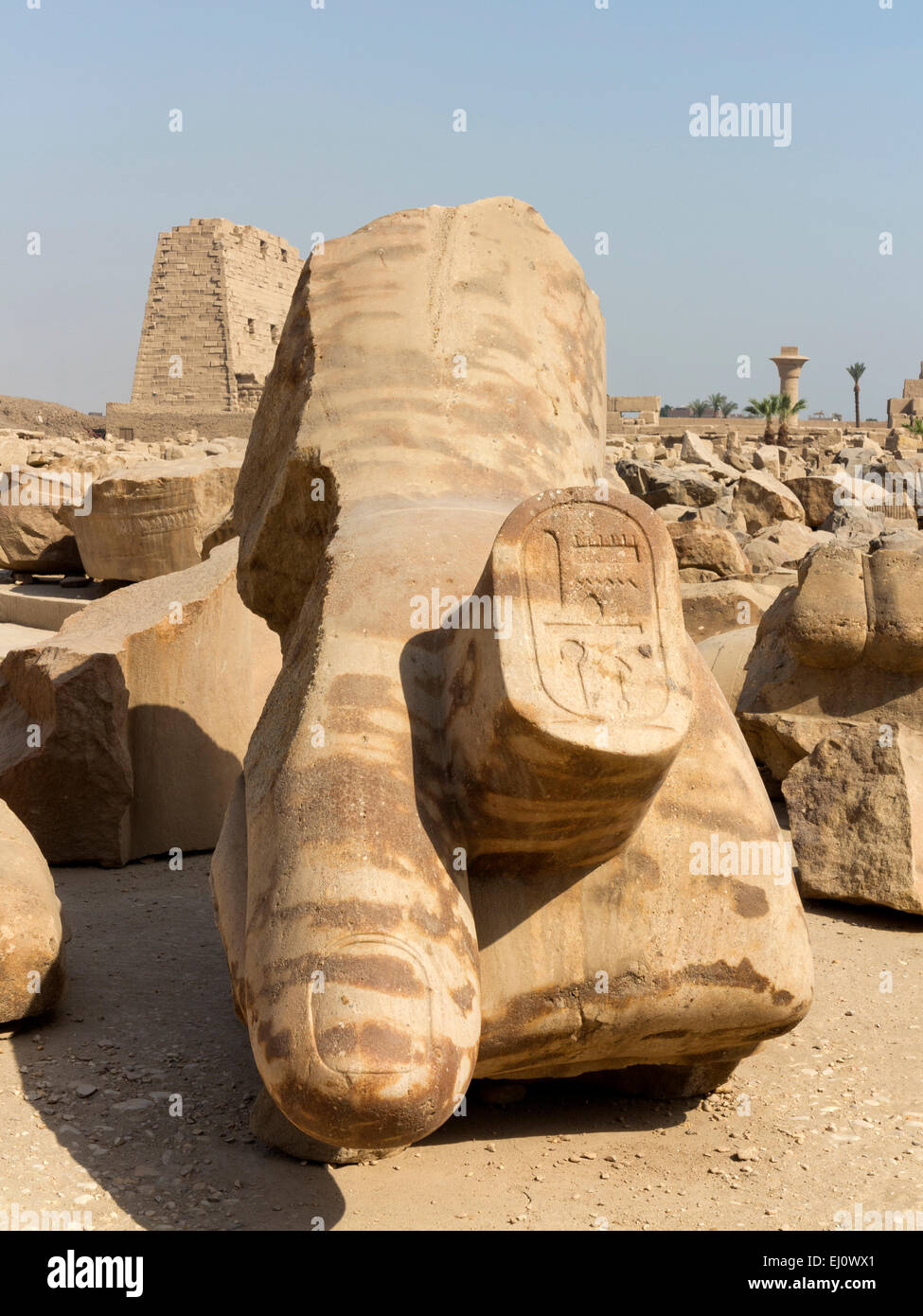 Pugno dal colosso di Amenhotep III per essere trovato al Tempio di Karnak e Luxor Egitto Foto Stock