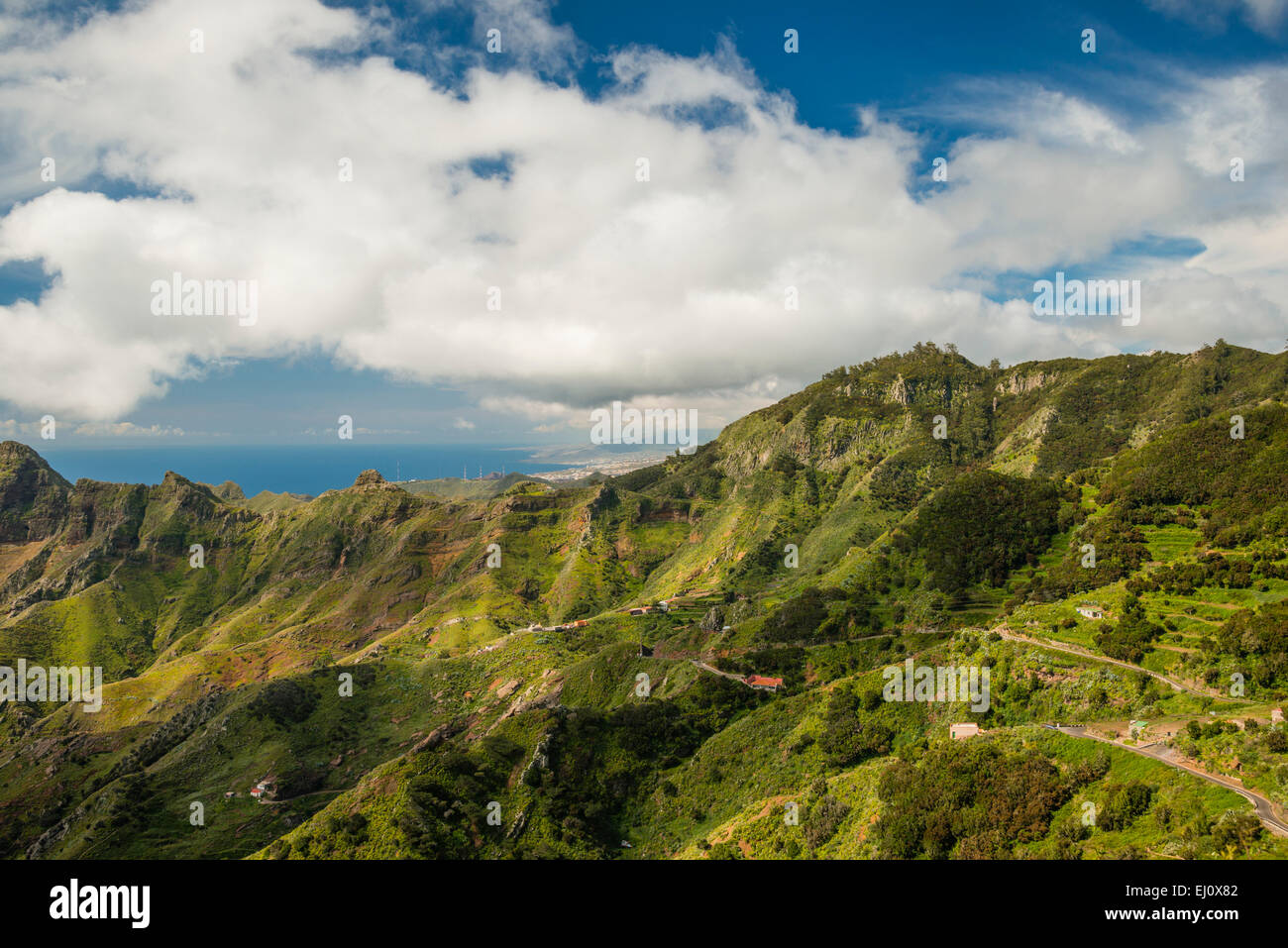 Anaga, vista al di fuori, vista montagne, montuoso, paesaggio di montagna, legno di montagna, Europa, Europeo, rocce, scogliere, montagne Foto Stock
