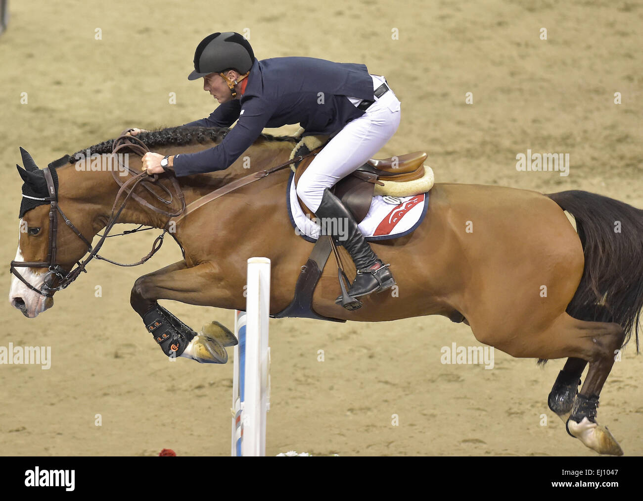 La Svizzera, Basilea, sport, nessun modello-release, showjumping, show jumping, concorrenza, equitazione, Joe Clee, ostacolo, competitivi Foto Stock