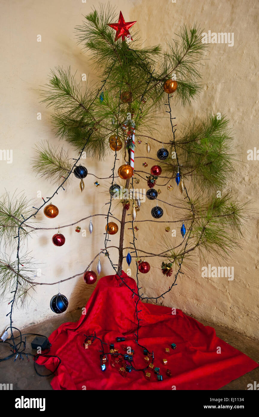 Immagini Natale Triste.Vista Verticale Di Un Triste A Nudo Albero Di Natale In Un Angolo Di Una Casa A Cuba Foto Stock Alamy