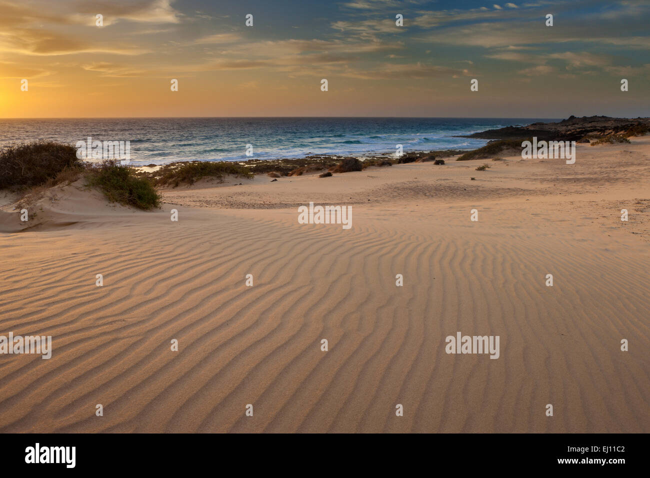 Parque Natural de Corralejo, parco, Spagna, Europa, isole canarie Fuerteventura, costa, sabbia, dune, dune di sabbia, il mattino, mo Foto Stock