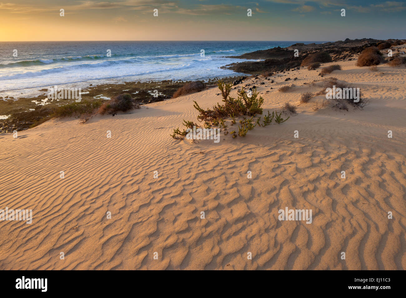 Parque Natural de Corralejo, parco, Spagna, Europa, isole canarie Fuerteventura, costa, sabbia, dune, dune di sabbia, il mattino, mo Foto Stock