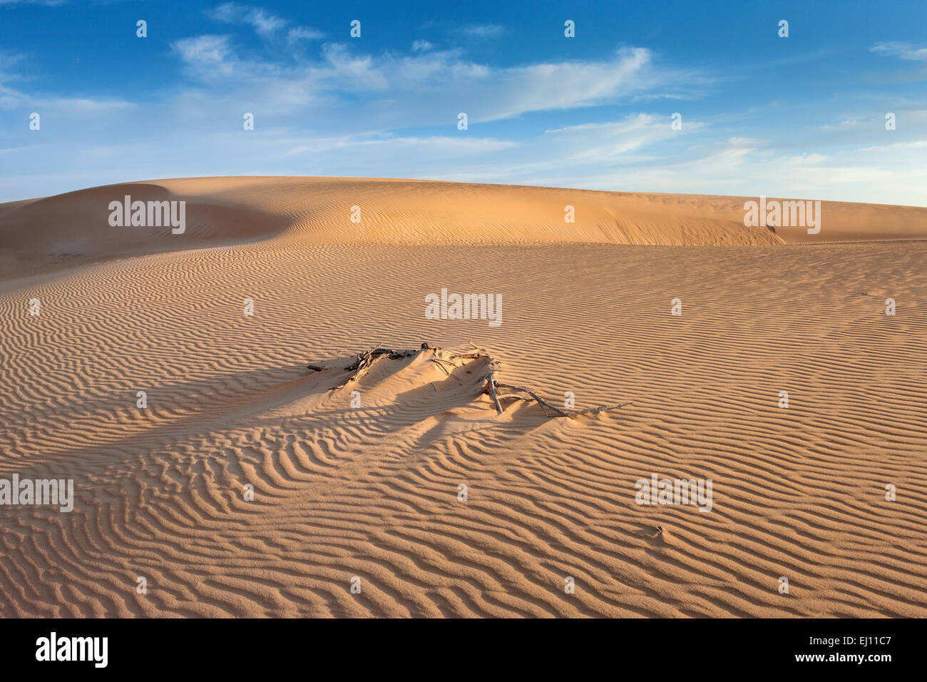 Parque Natural de Corralejo, parco, Spagna, Europa, isole canarie Fuerteventura, sabbia, dune Foto Stock