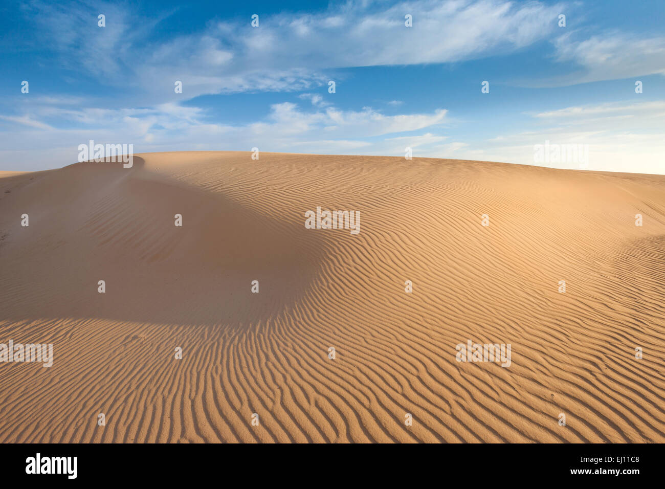 Parque Natural de Corralejo, parco, Spagna, Europa, isole canarie Fuerteventura, sabbia, dune Foto Stock