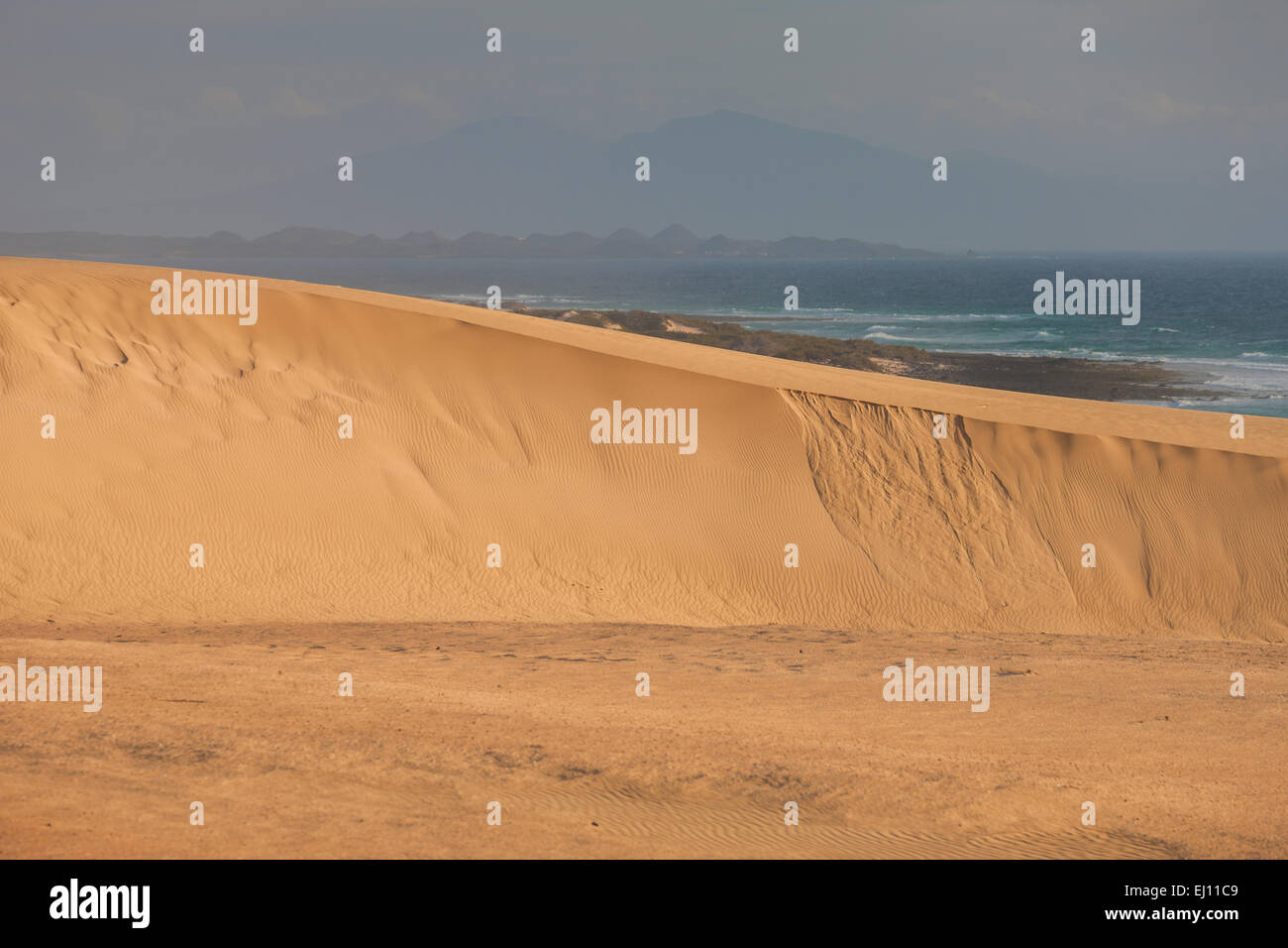 Parque Natural de Corralejo, parco, Spagna, Europa, isole canarie Fuerteventura, mare, costa, sabbia, dune Foto Stock