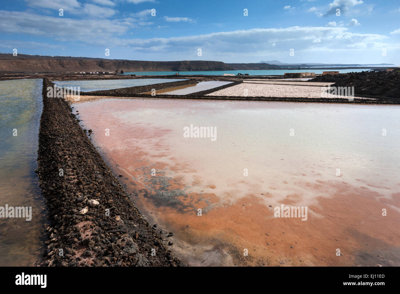 Salinas de Janubio, Spagna, Europa, isole canarie Lanzarote, costa, saline, soluzione salina, per la produzione di sale Foto Stock