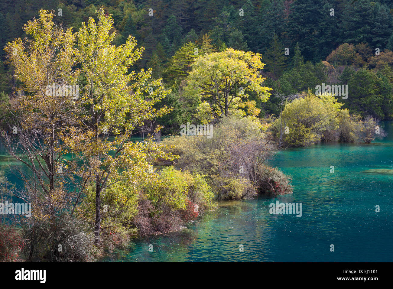 Jiuzhaigou, parco nazionale, scintillante lago, Cina, Asia, provincia, Sichuan, UNESCO World nature heritage, lago, tardo autunno, autu Foto Stock