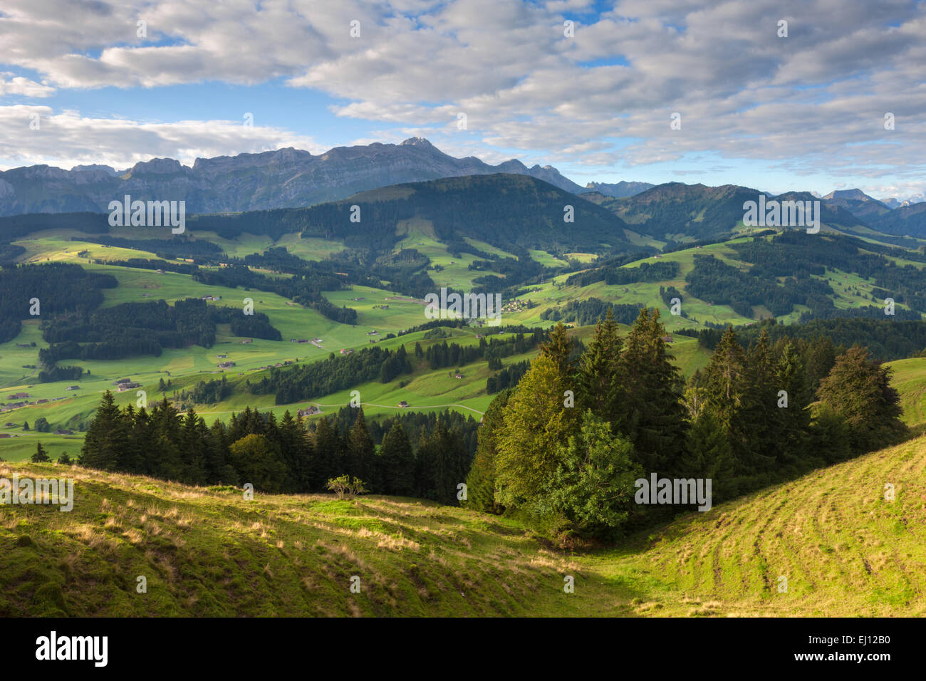 Vista, Hundwiler Höhe, altezza Hundwil, Svizzera, Europa, del cantone di Appenzell Ausserrhoden, vantage point, aspetto, all'Alpstein, Foto Stock