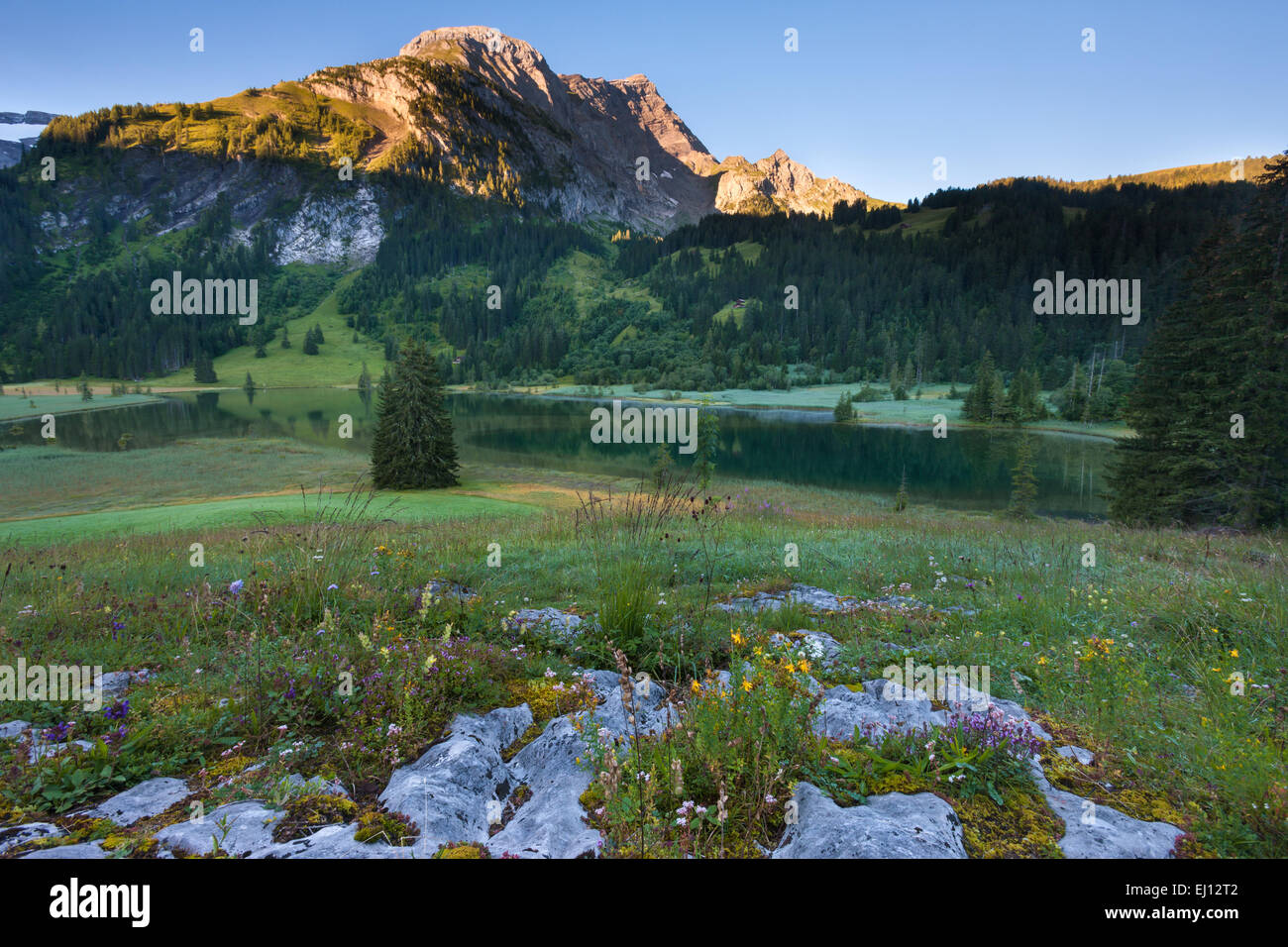 Lauenensee, Svizzera, Europa, canton Berna Oberland Bernese, Simmental, lago di montagna, lago, la luce del mattino, rock, Cliff, flusso Foto Stock