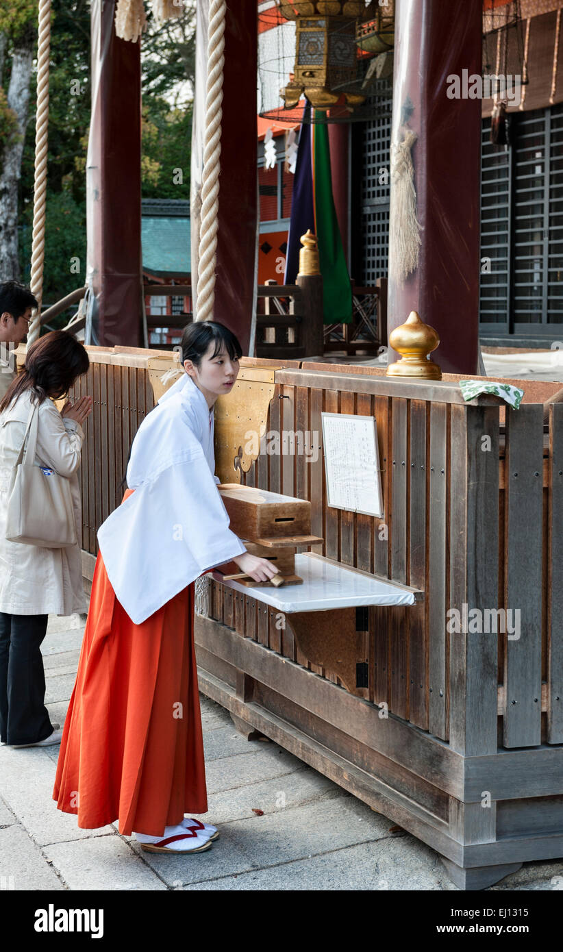 Kyoto, Giappone. Il santuario Yasaka, un tempio Shintoista. Un giovane debuttante femmina con scatole di raccolta (saisenbako) per le offerte Foto Stock