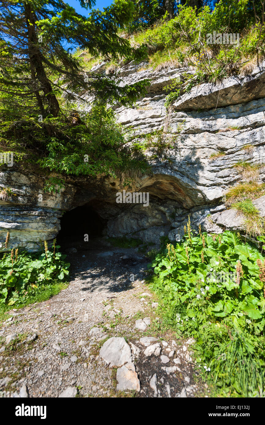 Wildmannlisloch, Svizzera, Europa, Canton San Gallo, Toggenburgo, grotta, entrata della caverna Foto Stock
