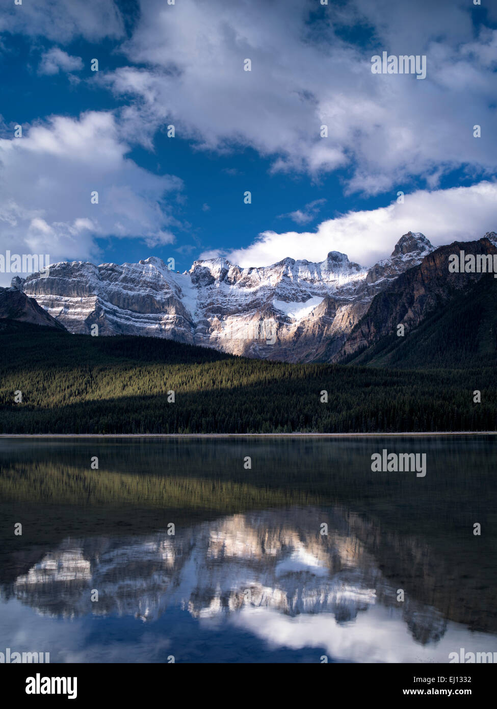 Gli uccelli acquatici laghi e montagne con riflessioni. Il Parco Nazionale di Banff, Alberta Canada. Foto Stock