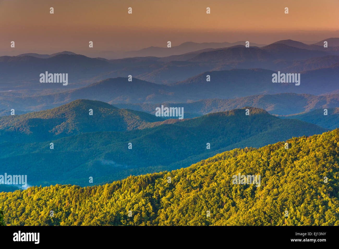 Strati di Blue Ridge Mountains al sunrise, visto da Blue Ridge Parkway nella Carolina del Nord. Foto Stock