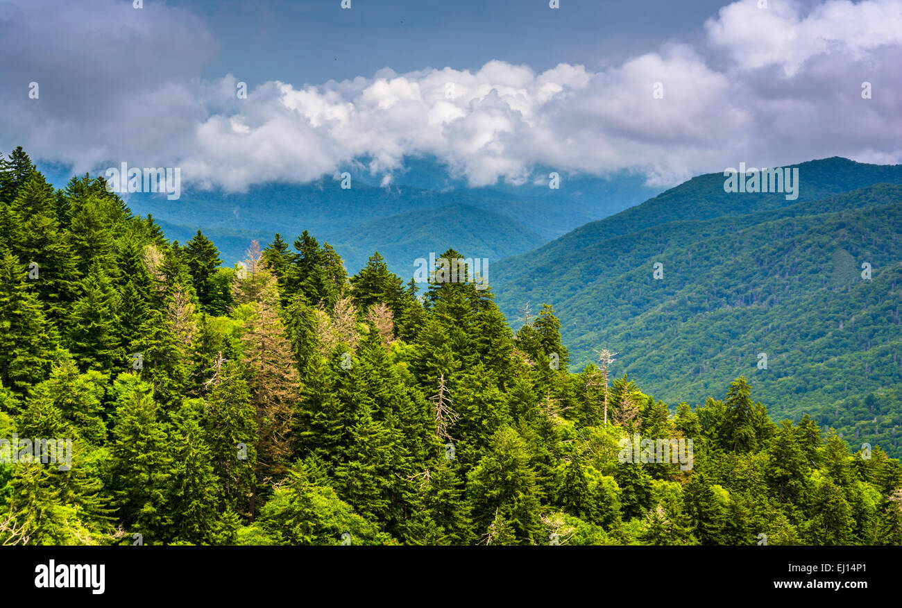 Drammatica vista dei monti Appalachi dalla ritrovata Gap Road, al Parco Nazionale di Great Smoky Mountains, Tennessee. Foto Stock