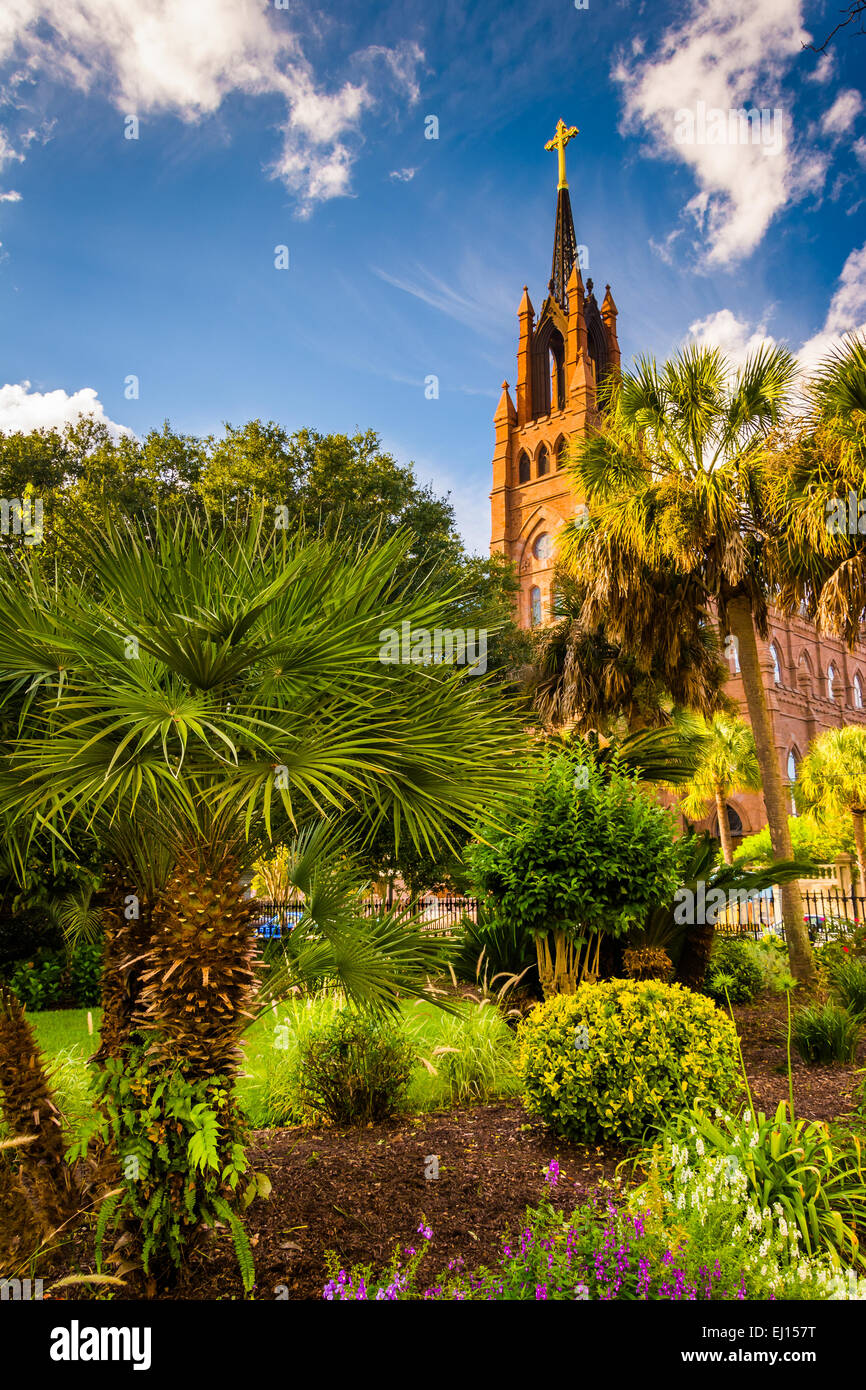 Le palme e la Cattedrale di San Giovanni Battista a Charleston, Carolina del Sud. Foto Stock