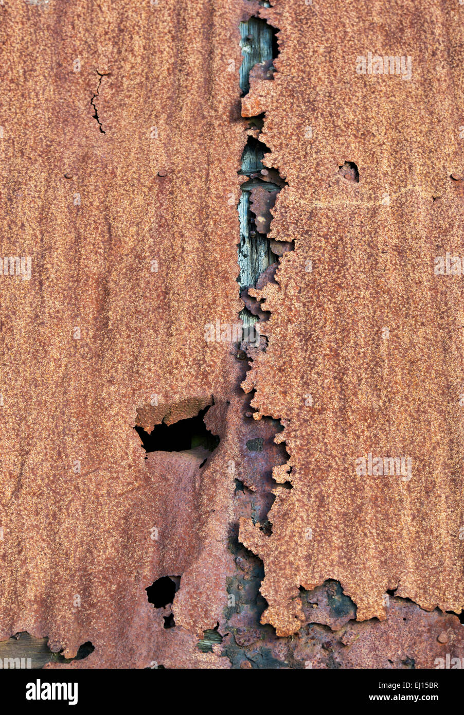 Vecchio arrugginito ondulato tetto di stagno. Scozia Foto Stock