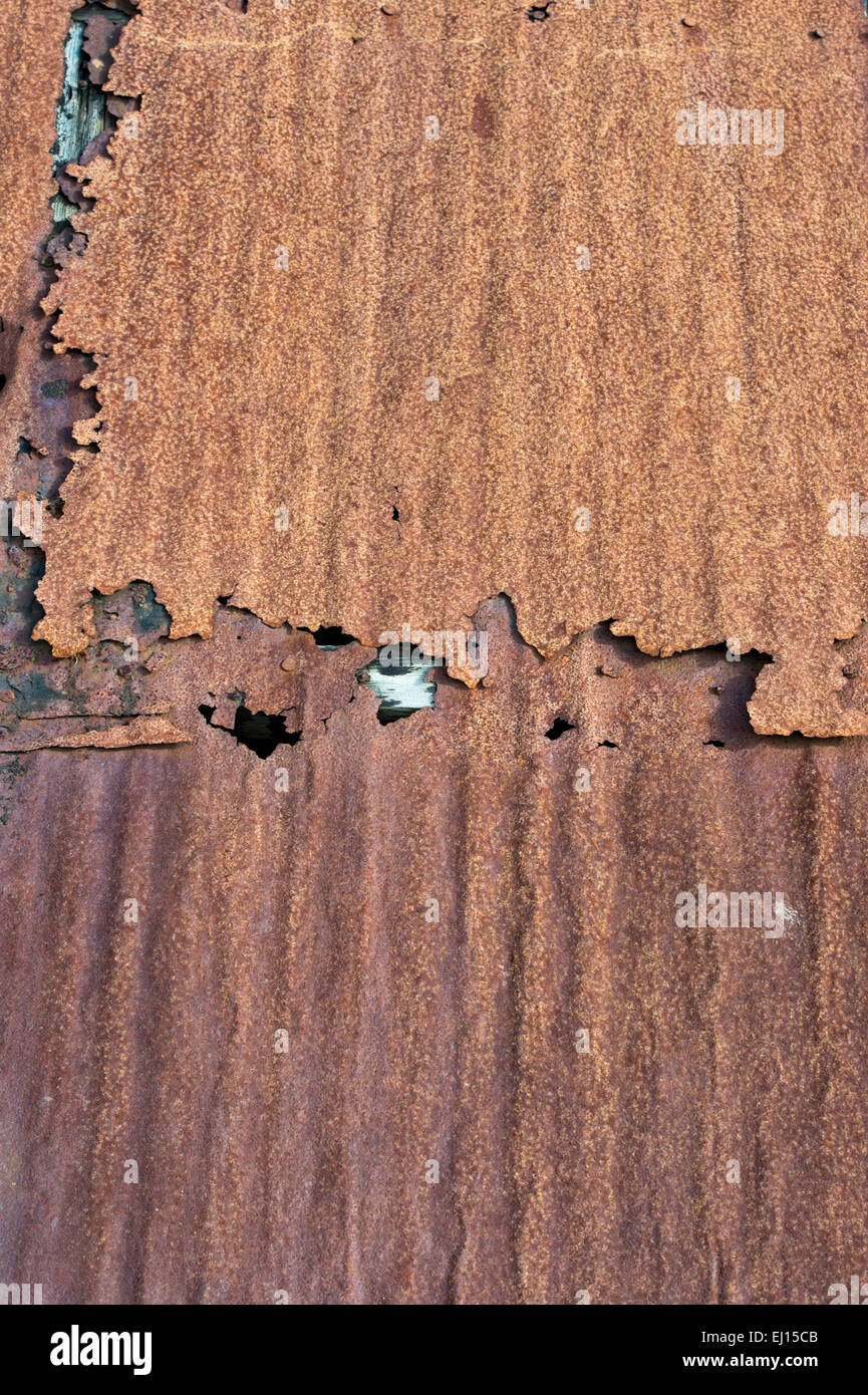 Vecchio arrugginito ondulato tetto di stagno. Scozia Foto Stock