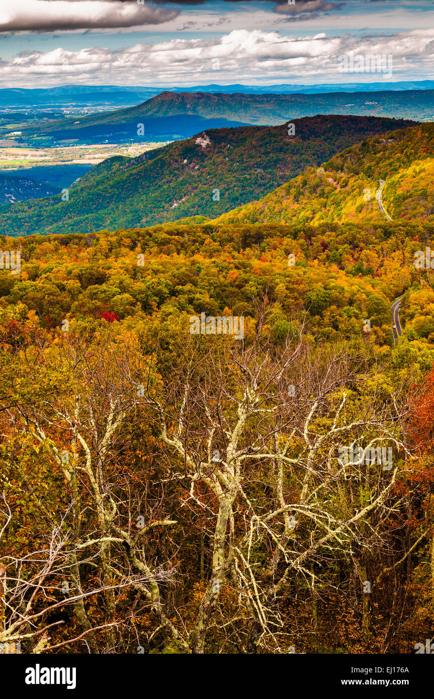Vista autunnale del Shenandoah Valley e monti Appalachi dal Loft di montagna, parco nazionale di Shenandoah, Virginia. Foto Stock