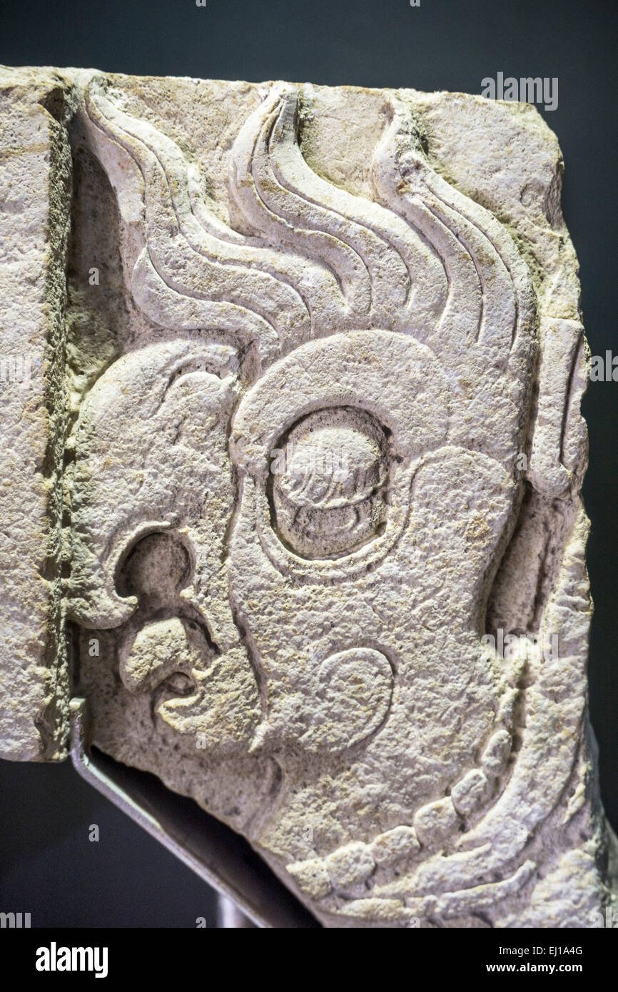 Frammento di pietra di essere con le caratteristiche di entrambe quetzal & macaw, uccelli sacri per gli antichi Maya visualizzato nel museo archeologico Foto Stock