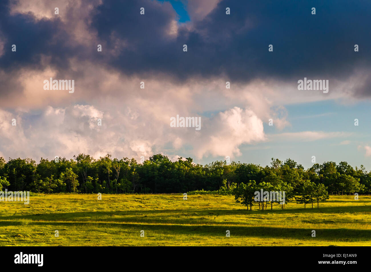 Serata colorata sky su grandi prati, nel Parco Nazionale di Shenandoah, Virginia. Foto Stock