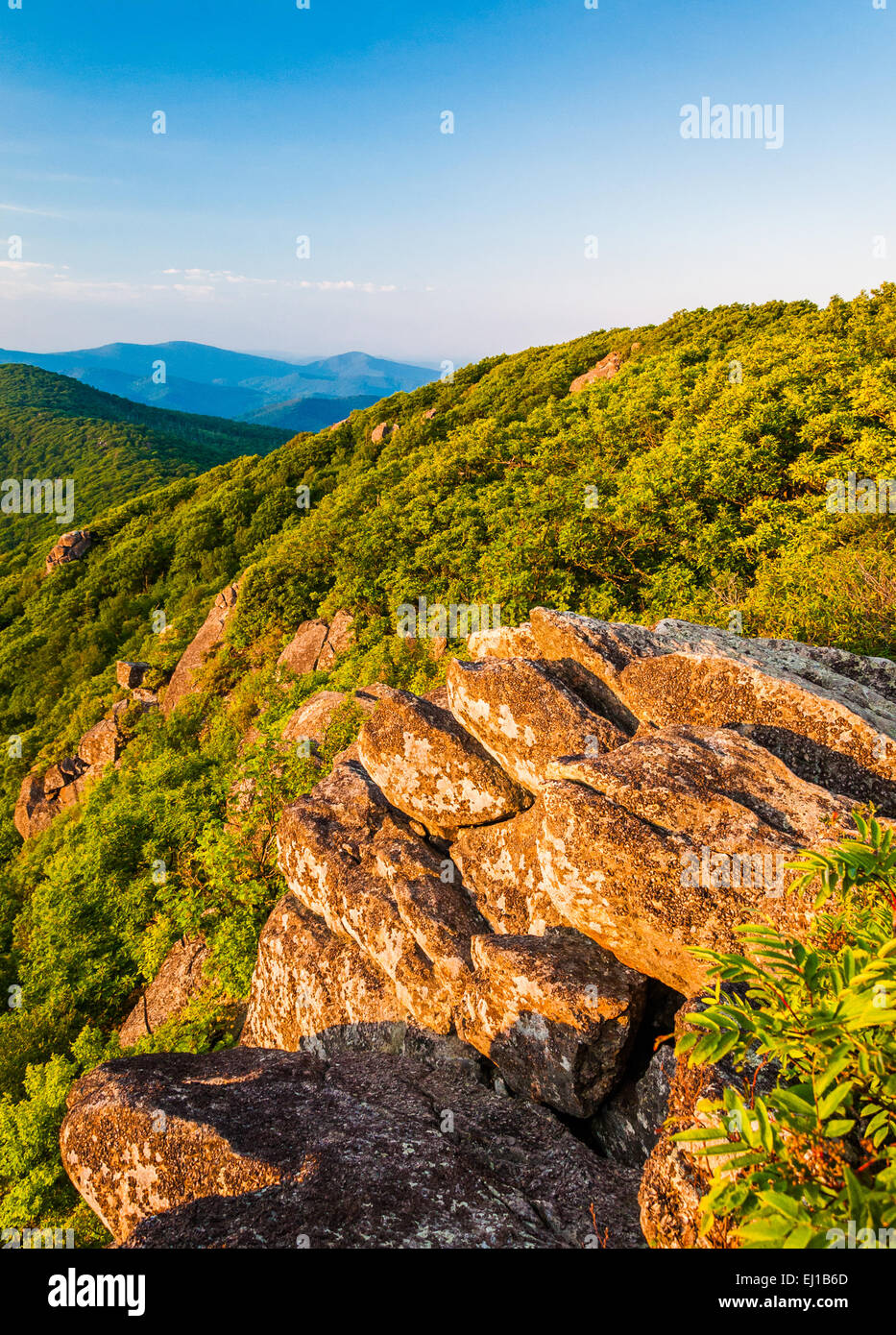 Luce della Sera su uno sperone di roccia e le Blue Ridge Mountains dal pinnacolo, lungo l'Appalachian Trail a Shenandoah Nazione Foto Stock