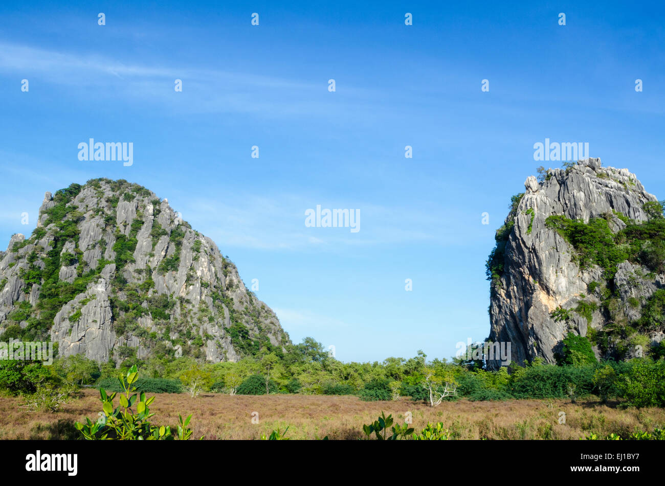 Paesaggio la foresta e la montagna sul cielo azzurro sfondo in Thailandia Foto Stock