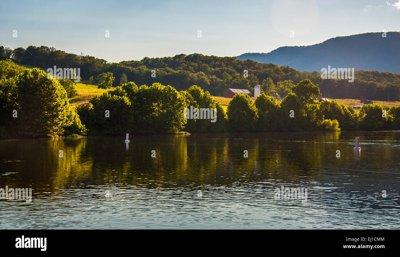 Le aziende agricole e le colline lungo il fiume Shenandoah, nella valle di Shenandoah, Virginia. Foto Stock
