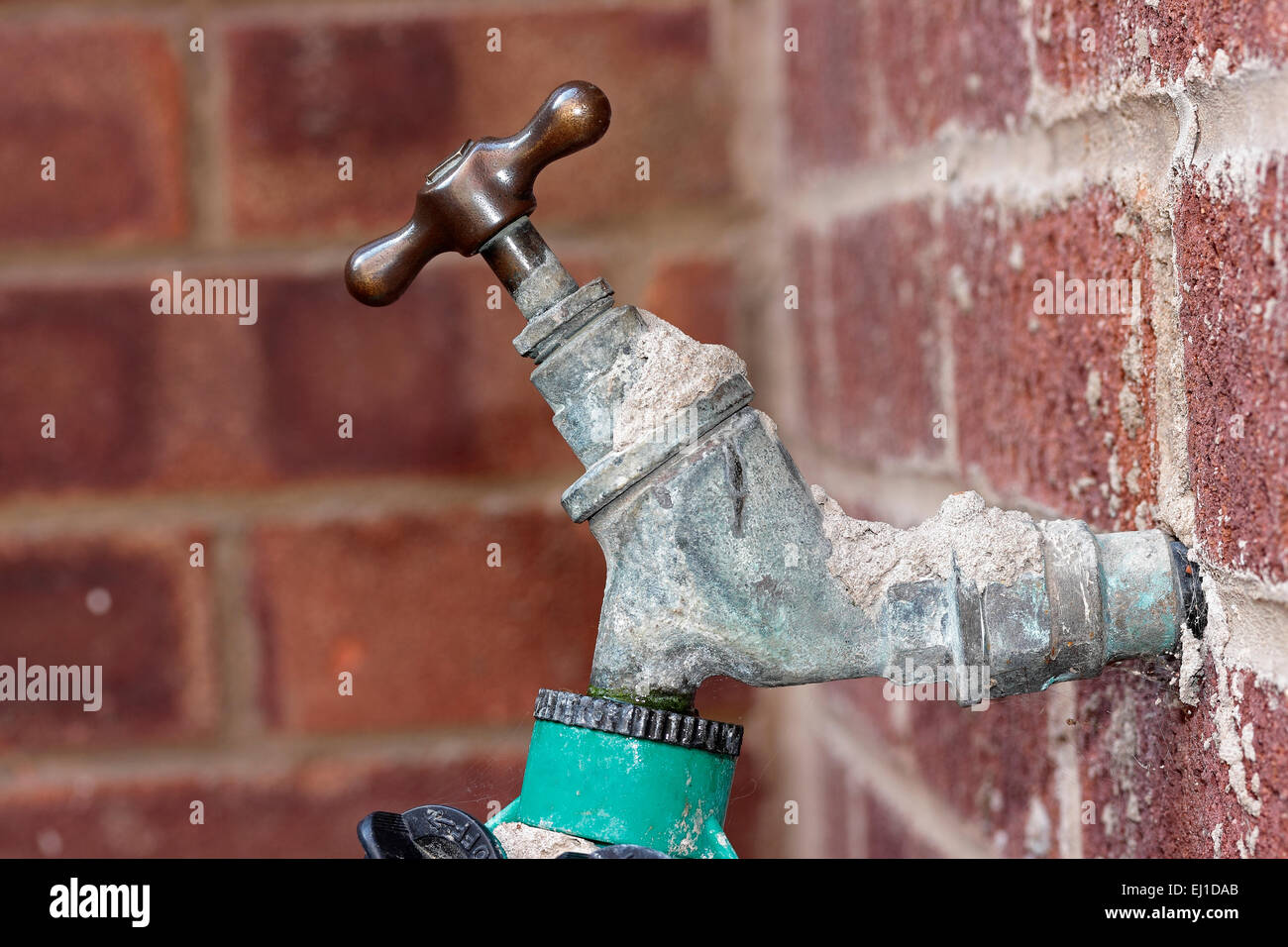 Rubinetto da giardino e avvolgitubo con tubi per irrigazione irrigazione  irrigazione in un orto erbaceo e vegetale nel paese in Galles rurale UK  KATHY DEWITT Foto stock - Alamy