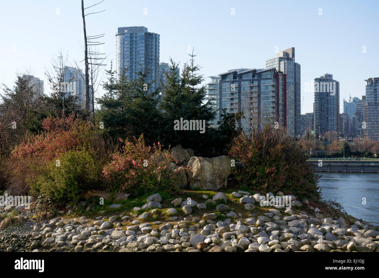 Isola di habitat Natura nel santuario del Southeast False Creek area, Vancouver, BC, Canada Foto Stock