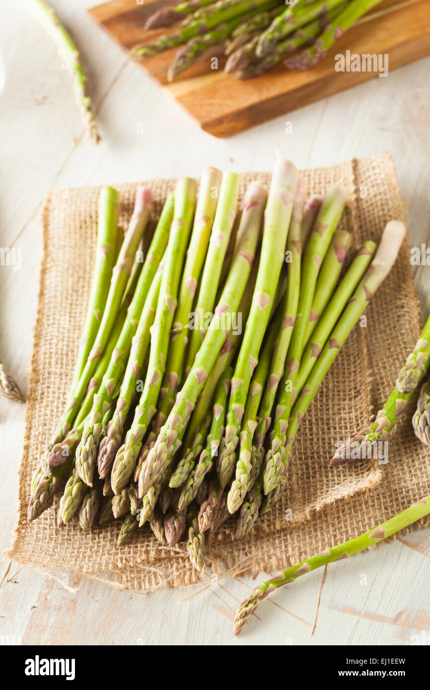 Materie organiche Asparago Verde Pronto per cucinare Foto Stock