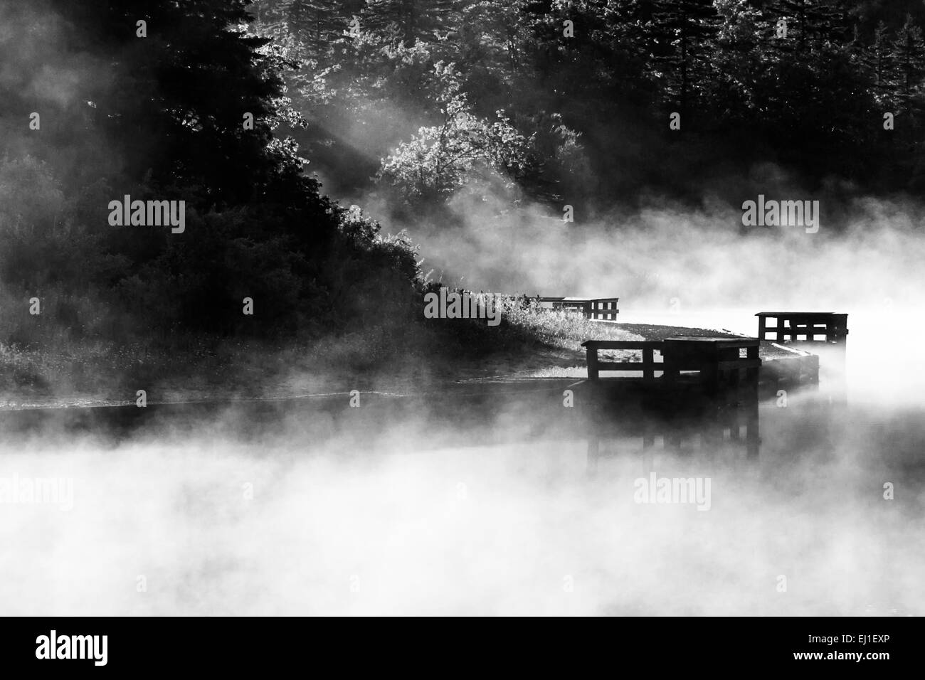 Nebbia di mattina sulla manopola di abete rosso Lago, Monongahela National Forest, West Virginia. Foto Stock