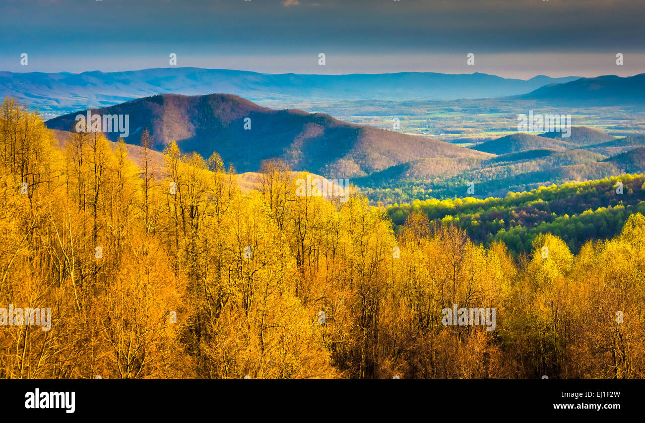 Vista la mattina da Skyline Drive nel Parco Nazionale di Shenandoah, Virginia. Foto Stock
