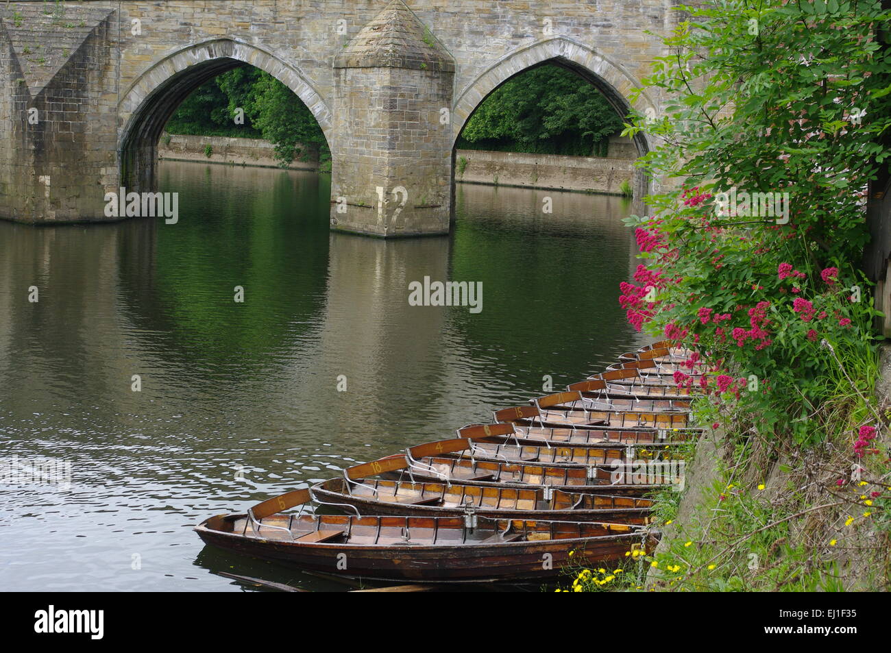 Elvet ponte sopra il fiume di usura nella città di Durham in Inghilterra settentrionale, con imbarcazioni a remi dalla banca del fiume. Foto Stock