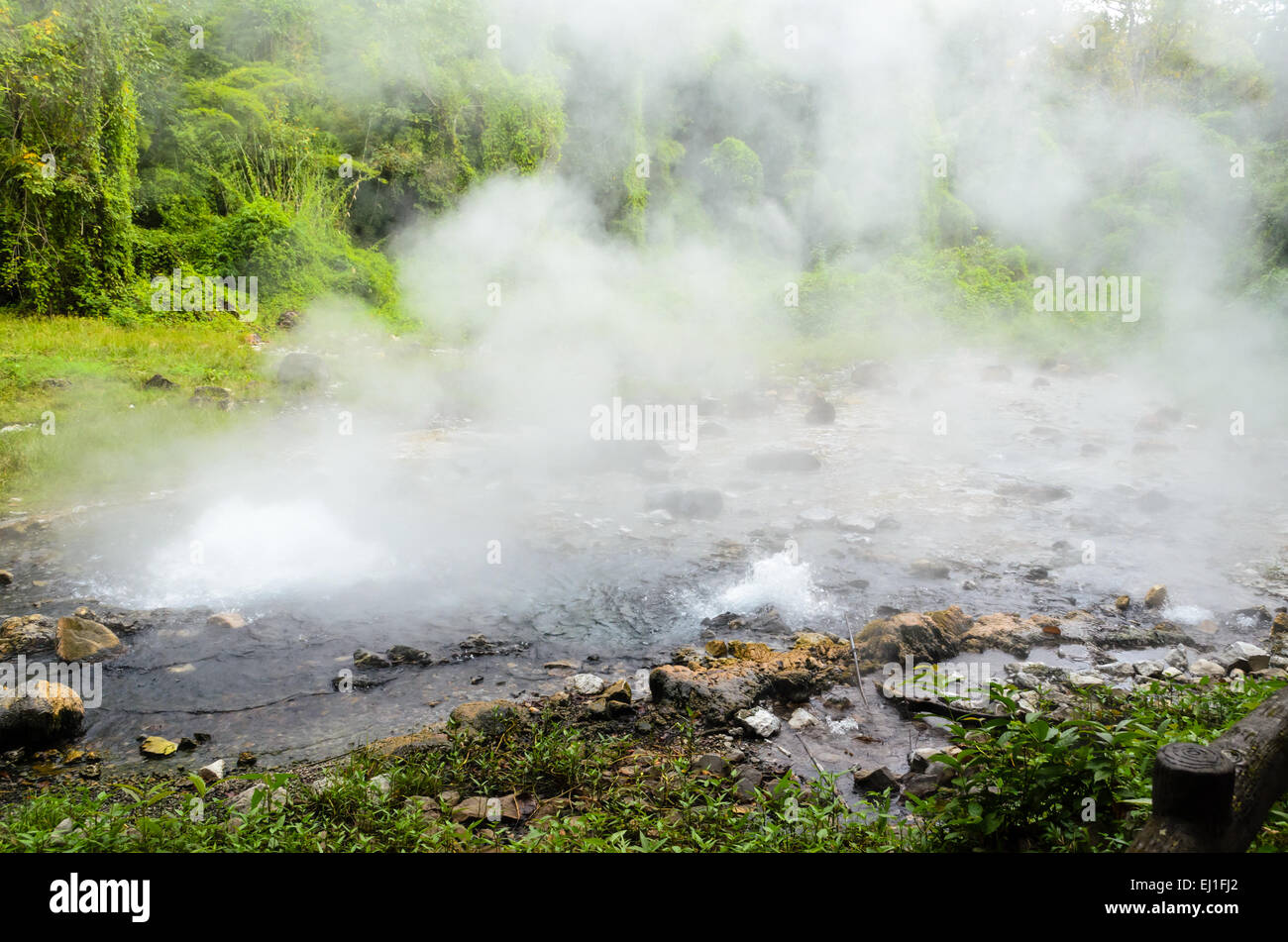 Molla di acqua calda natura attrazioni di Chiang Mai, Thailandia. Foto Stock