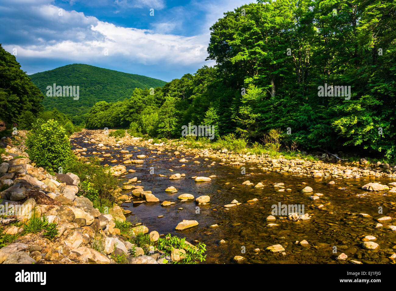 Red Creek, nel rurale Potomac Highlands della West Virginia. Foto Stock