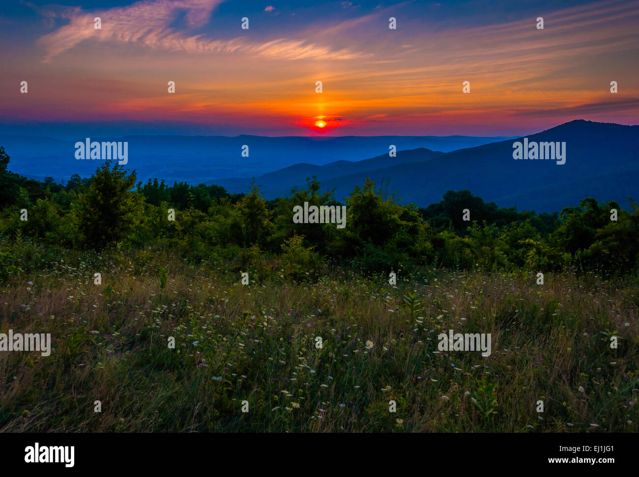 Tramonto su un prato a passare la montagna si affacciano, Skyline Drive, Parco Nazionale di Shenandoah, Virginia. Foto Stock
