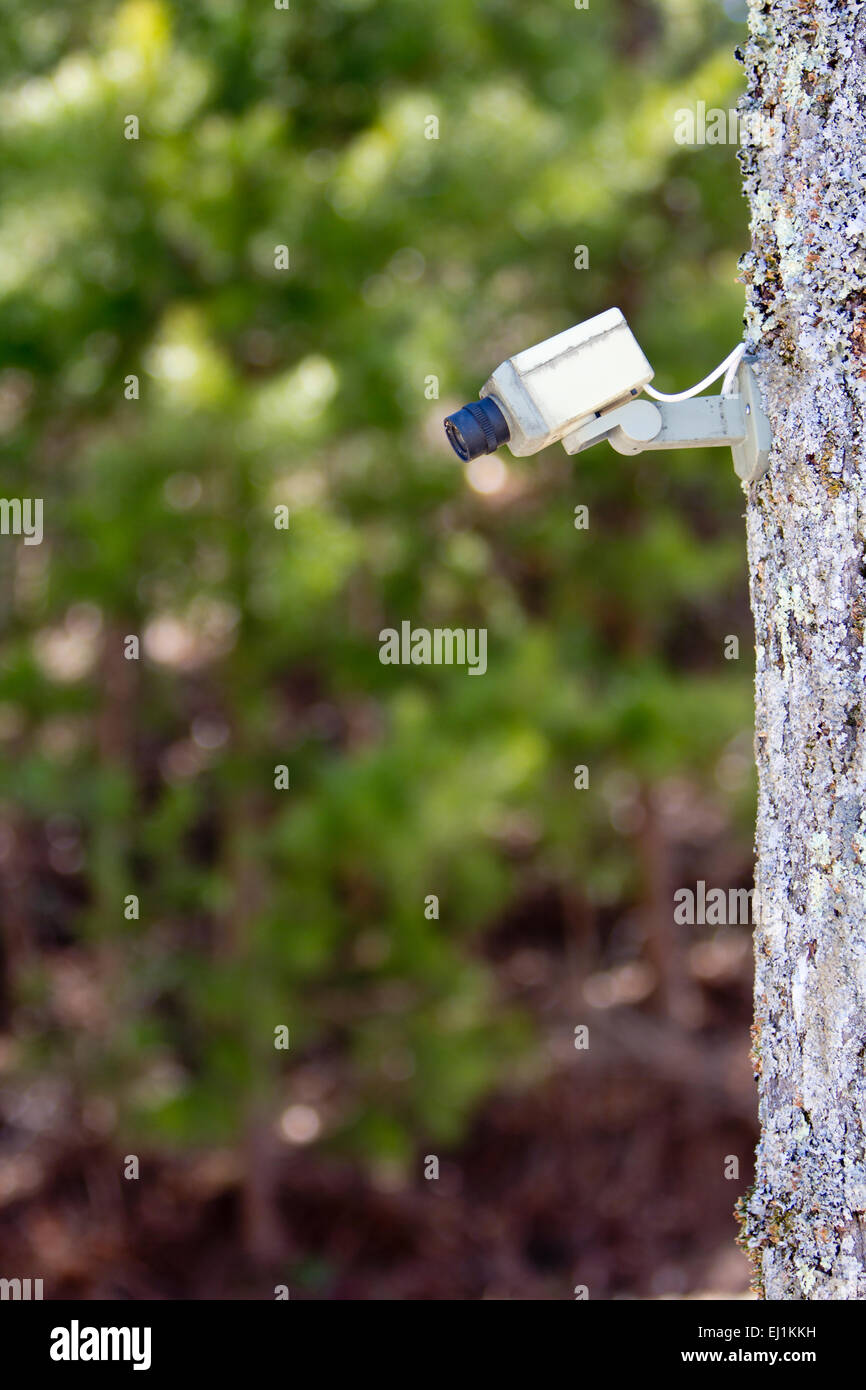 Sistema di telecamere di sicurezza falso Foto Stock