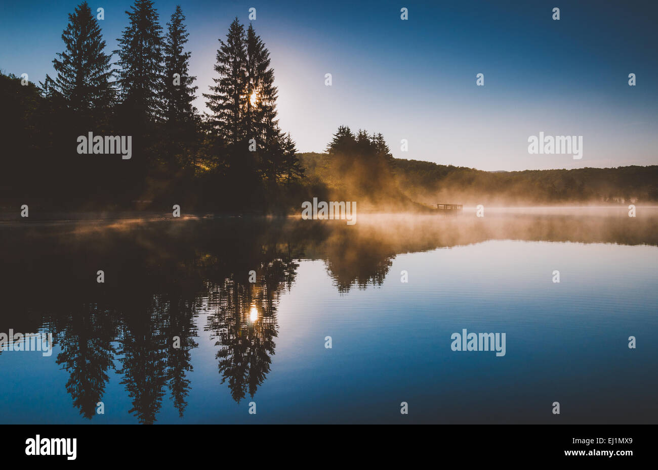 Il sole splende attraverso gli alberi di pino e la nebbia di sunrise, alla manopola di abete rosso Lago, Monongahela National Forest, West Virginia. Foto Stock