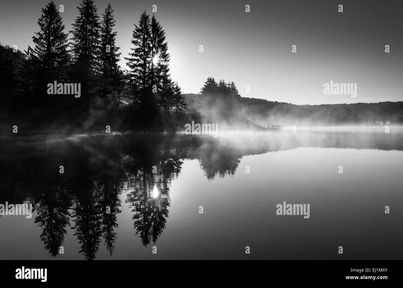 Il sole splende attraverso gli alberi di pino e la nebbia di sunrise, alla manopola di abete rosso Lago, Monongahela National Forest, West Virginia. Foto Stock