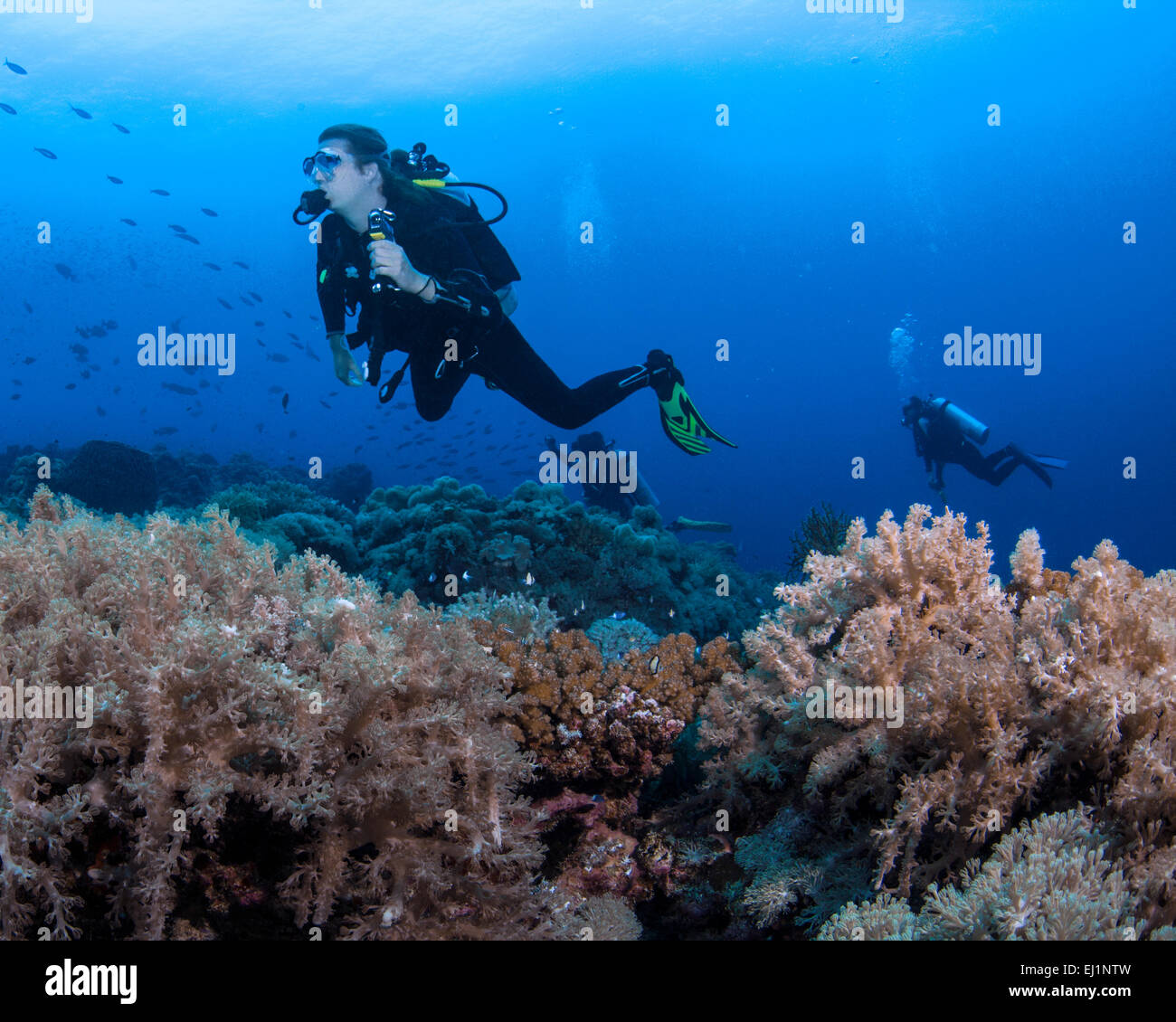 Europei maschili scuba diver richiede azione subacquea video. Isole Spratly, sul Mare della Cina del Sud. Foto Stock
