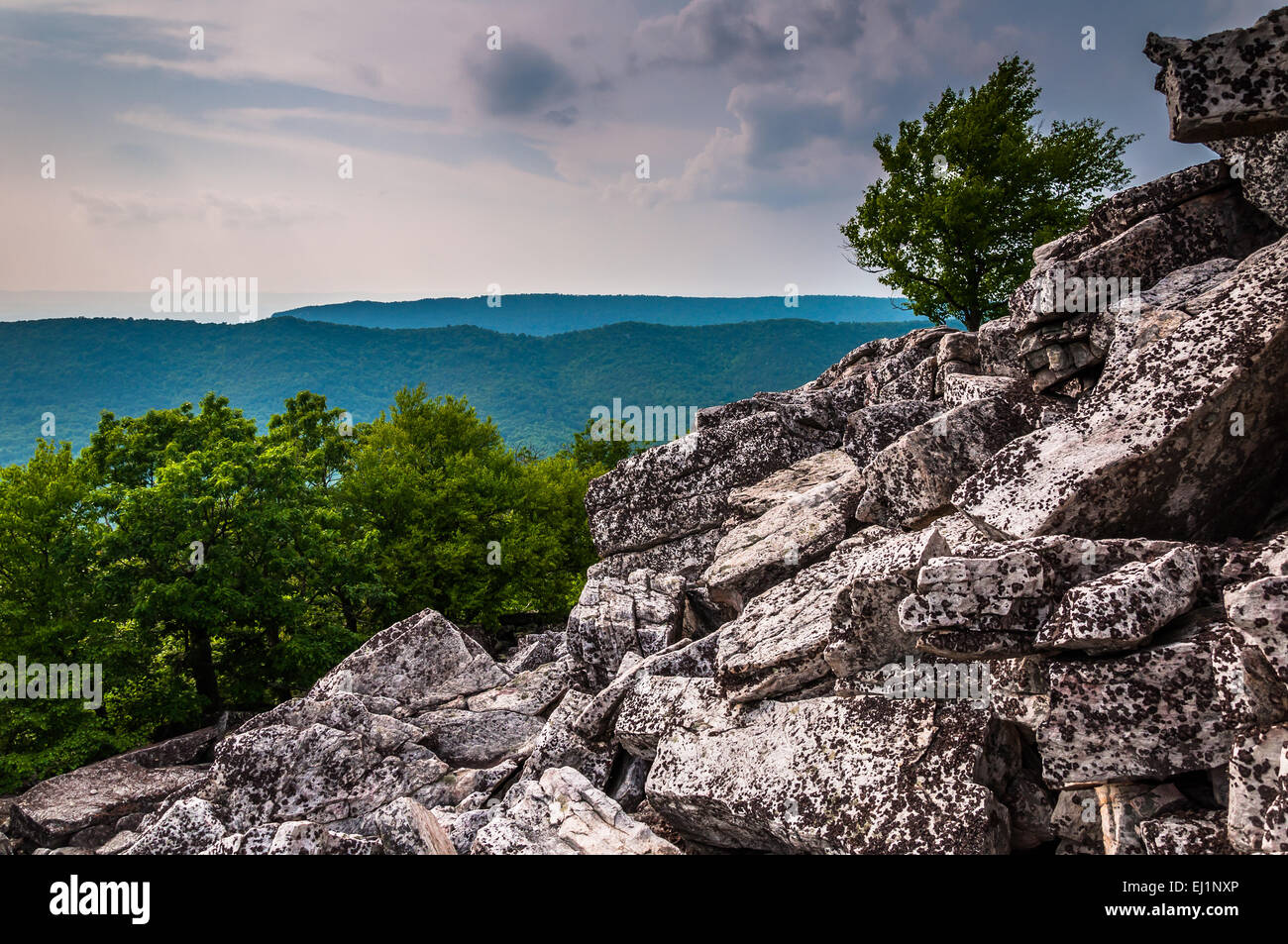 Vista dei monti Appalachi da boulder-pendenze coperte di Duncan manopola, George Washington National Forest, Virginia. Foto Stock