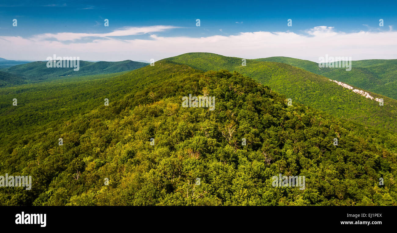 Vista del crinale e Valley Appalachians dal grande Schloss, in George Washington National Forest, VA. Foto Stock