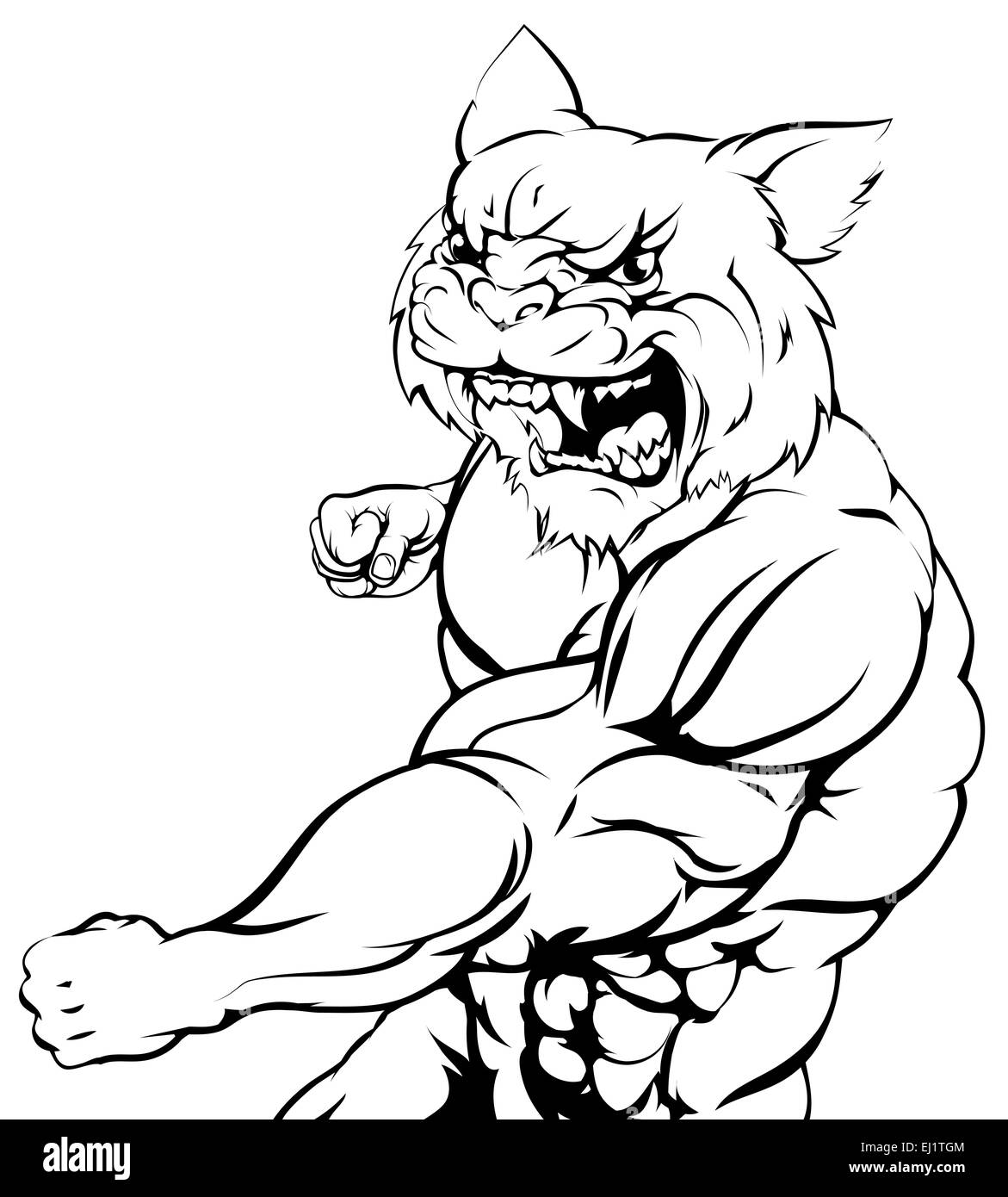 Un robusto muscolare carattere wildcat mascotte sportive di attaccare con un punzone Foto Stock Un robusto muscolare carattere wildcat mascotte sportive di attaccare con un punzone Foto Stock