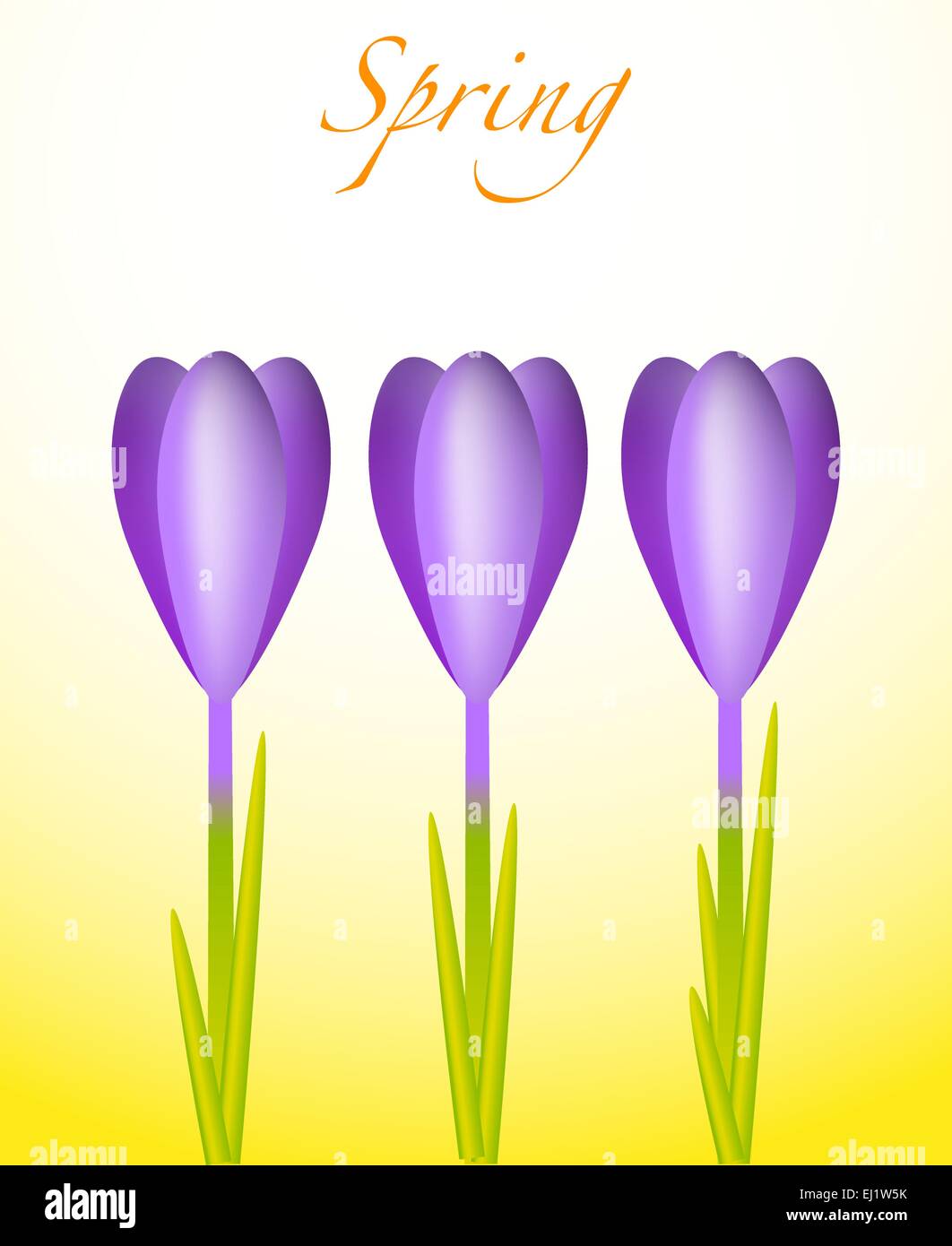 Tre violetta di crochi su un sfondo di primavera Illustrazione Vettoriale