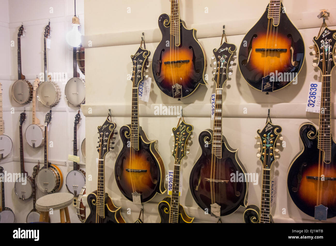 Mandolino fratelli showroom di Staten Island NYC Foto Stock